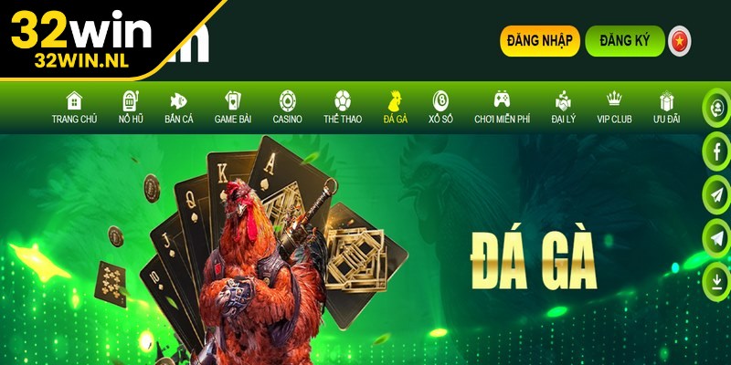 Đá gà 32win là sảnh quy tụ hàng loạt trận đấu gay cấn, hấp dẫn cùng nhiều thể loại