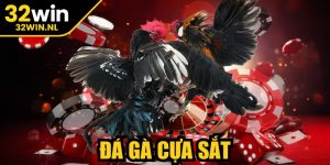 Đá Gà Cựa Sắt