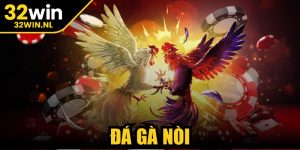 Đá Gà Nòi