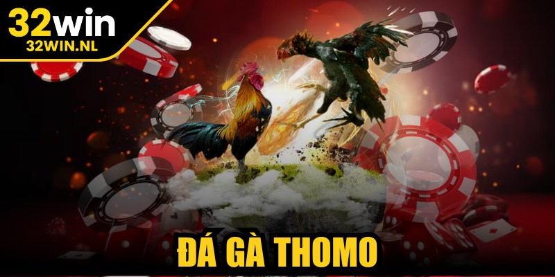 Đá Gà Thomo
